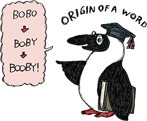 BOBO → BOBY → BOOBY!